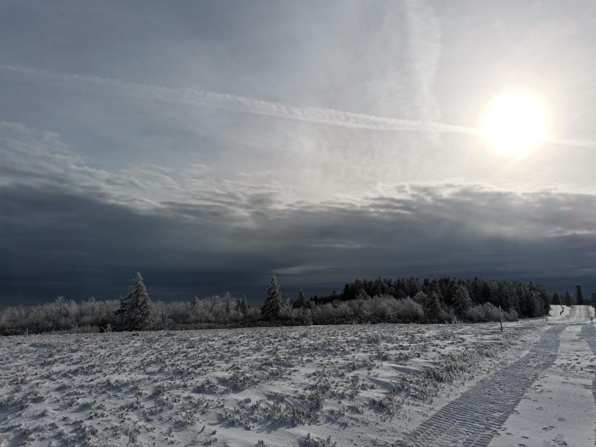 Gite Du Cerf Birkenwald Esterno foto