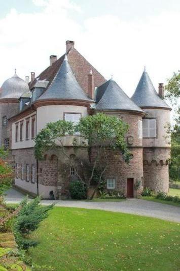 Gite Du Cerf Birkenwald Esterno foto