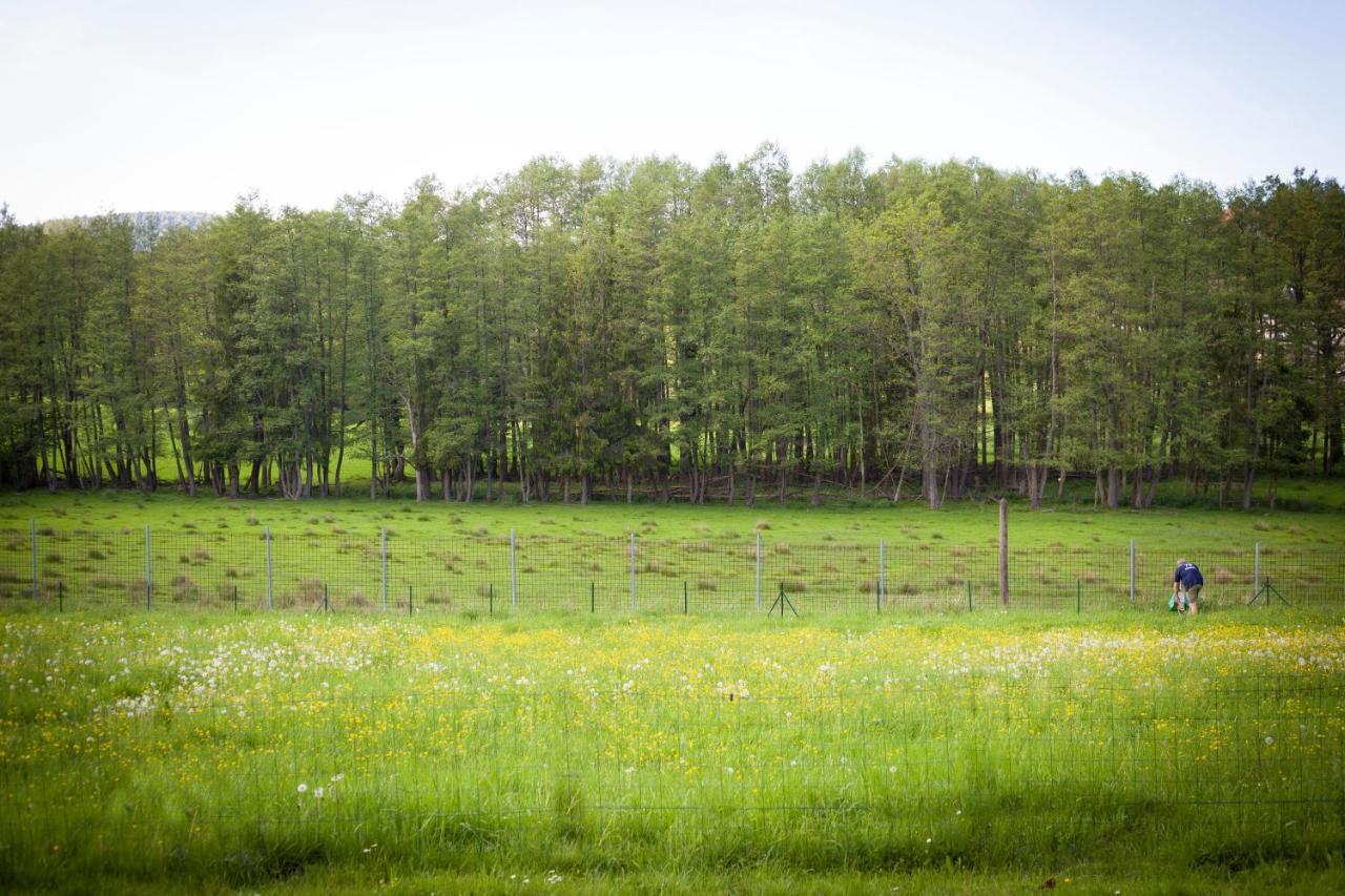 Gite Du Cerf Birkenwald Esterno foto