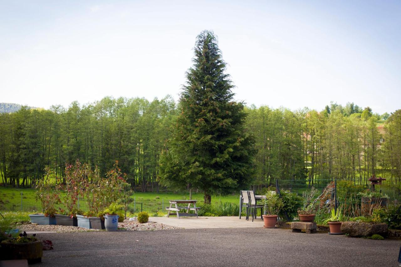 Gite Du Cerf Birkenwald Esterno foto